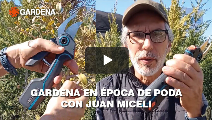 Gardena y la poda de plantas con Juan Miceli, Tijera AssistCut
