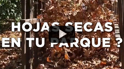 ¿Hojas secas en tu parque? Esta temporada la solución la tiene Niwa!