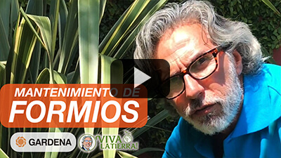 Tips de Juan Miceli para emprolijar los formios con las herramientas Gardena.