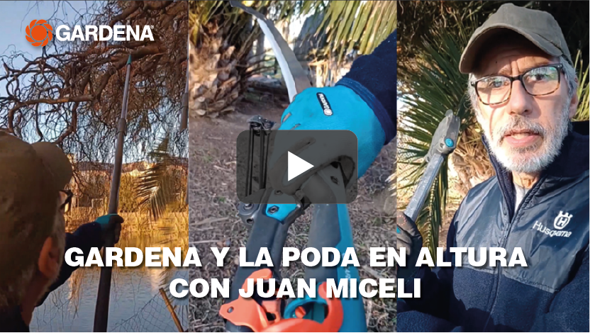 Gardena y la poda en altura con Juan Miceli