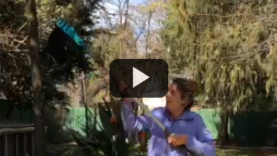 Gardena - Recolector de frutas