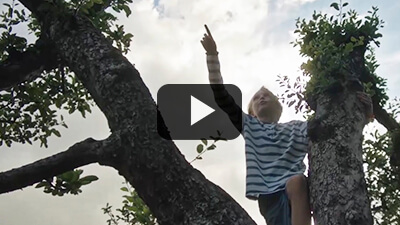 Tu jardín es un reflejo de vos. #Husqvarna