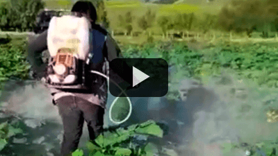 Distribuidor Jasak-MundoFerretero - Pulverizado preciso en zapallos