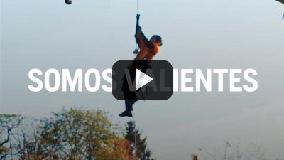 Husqvarna - Reel Arboristas